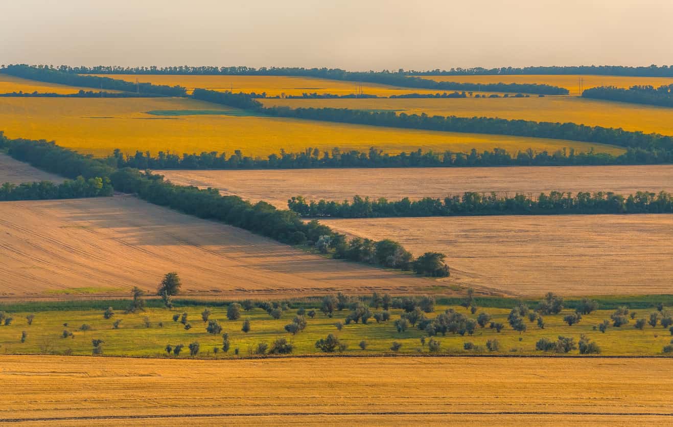 Агрокультурный ландшафт