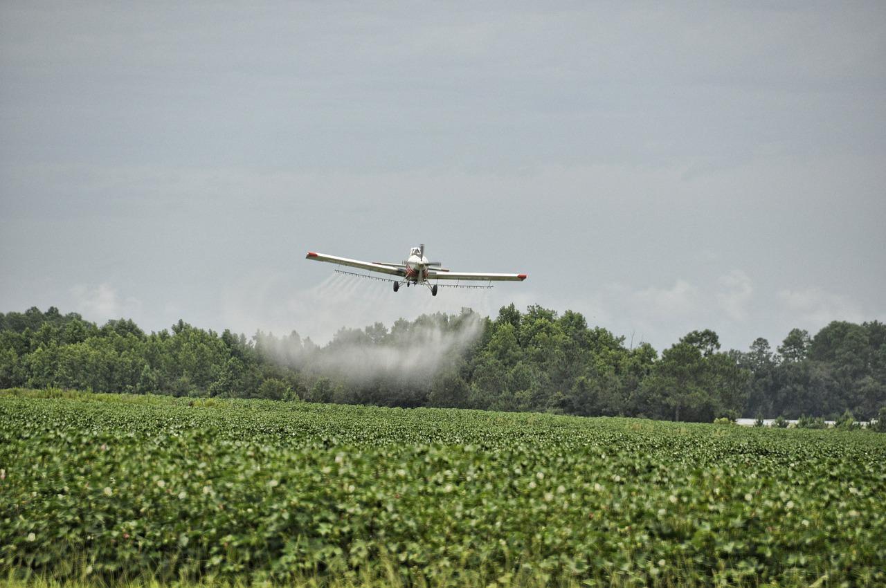 Обработка полей пестицидами. АН-2 кукурузник обработка полей. Ан2 опрыскивает поле. АН-2 кукурузник над полем. Сельскохозяйственный самолет.