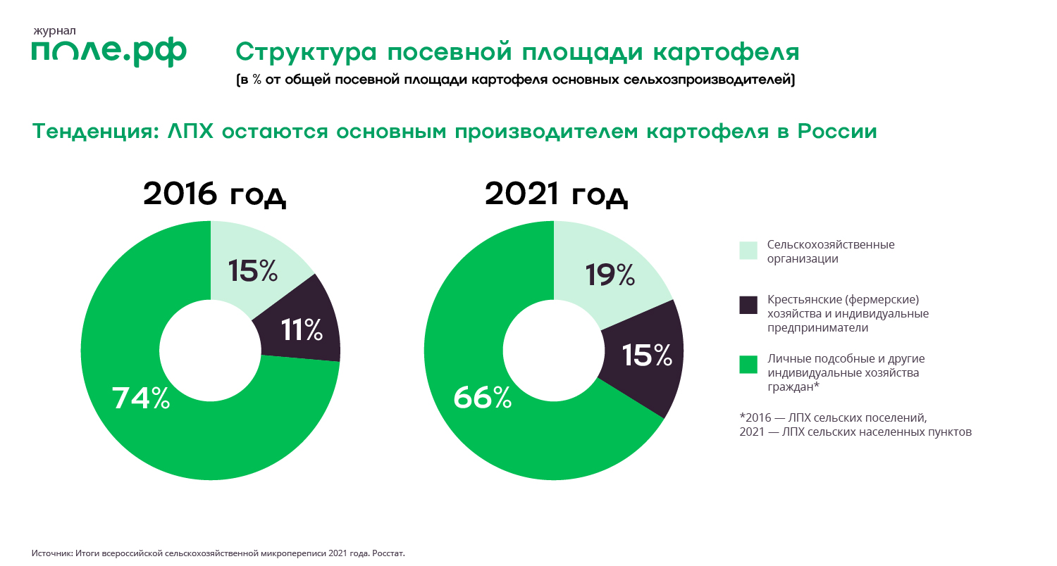 инфографика картофель