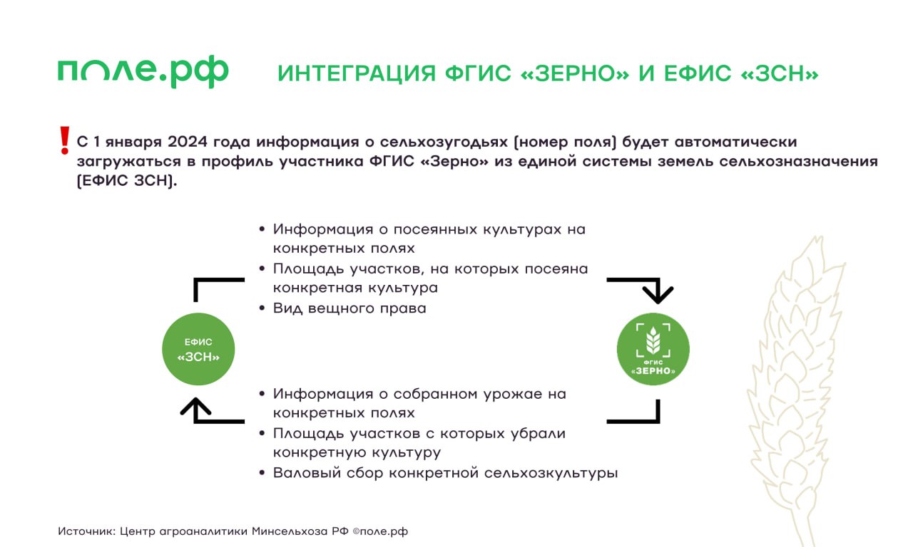 Оформление фгис зерно. Обучение фгис зерно ефйис зсн.